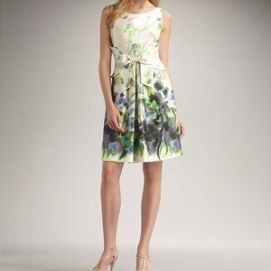 Kate Spade New York Jillian Natural Clotted Cream Watercolor Dress Size 4